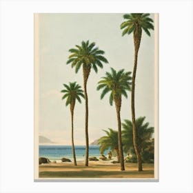 Spiaggia Di Tuerredda Sardinia Italy Vintage Canvas Print