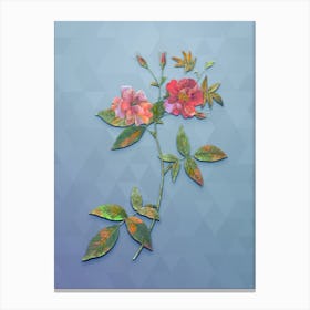 Vintage Hudson Rosehip Botanical Art on Summer Song Blue Canvas Print