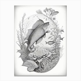 Kin Ki Bekko Koi Fish Haeckel Style Illustastration Canvas Print