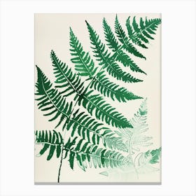 Green Ink Painting Of A Netted Chain Fern 2 Canvas Print