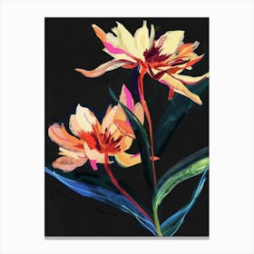 Neon Flowers On Black Everlasting Flower 1 Canvas Print