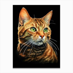 Tabby Cat Canvas Print