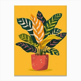 Calathea Plant Minimalist Illustration 6 Canvas Print