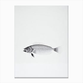 Quillfish Black & White Drawing Canvas Print