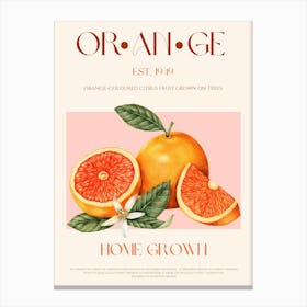 Orange Fruit Mid Century Canvas Print