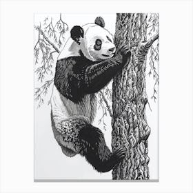 Giant Panda Cub Climbing A Tree Ink Illustration 1 Canvas Print