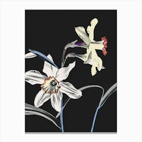 Neon Flowers On Black Daffodil 2 Canvas Print