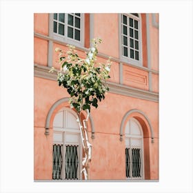 The Green Tree With The Pink Building In Spain Travel Canvas Print
