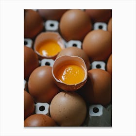 Eggs In A Carton 17 Canvas Print