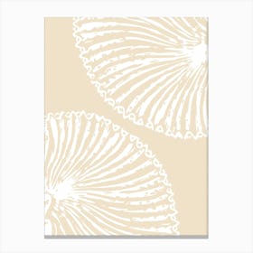 Seashells 2 Canvas Print