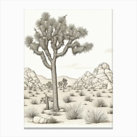  Detailed Drawing Of A Joshua Trees At Dawn In Desert 5 Canvas Print