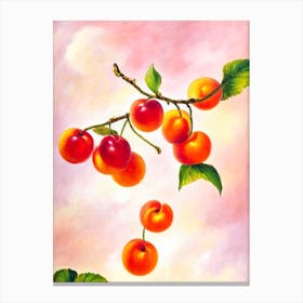 Surinam Cherry Painting Fruit Canvas Print