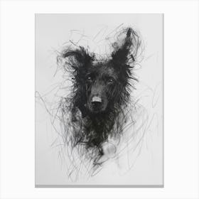Icelandic Sheepdog Dog Charcoal Line 4 Canvas Print