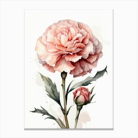 Pink Carnation Watercolor Painting Canvas Print