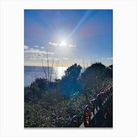 Sydney Harbour Canvas Print