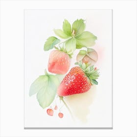 Day Neutral Strawberries, Plant, Pastel Watercolour Canvas Print