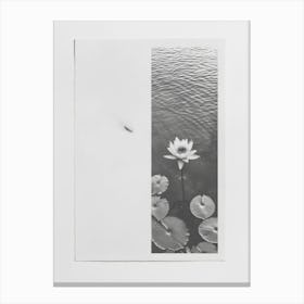 Lotus Flower Photo Collage 1 Canvas Print