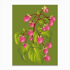 Illustration Of Raspberries Canvas Print