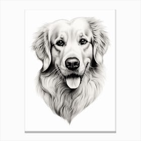 Golden Retriever In The Shape Of A Heart Pencil Line Drawing Canvas Print