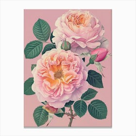 English Roses Painting Rose In A Keyhole 1 Canvas Print