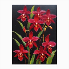 Red Phragmipedium Orchids Oil Painting 2 Canvas Print