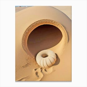 Sand Dune 9 Canvas Print