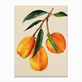 Jackfruit Watercolour Fruit Painting Fruit Canvas Print