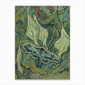 Van Gogh - Emperor Moth Canvas Print