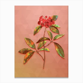 Vintage Mountain Laurel Branch Botanical Art on Peach Pink n.0604 Canvas Print