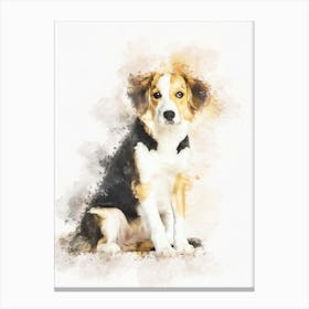 Border Collie Dog 3 Canvas Print