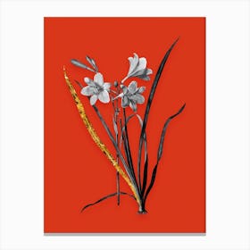 Vintage Daylily Black and White Gold Leaf Floral Art on Tomato Red n.0528 Canvas Print