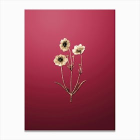 Gold Botanical Perennial Dyer's Coreopsis Flower on Viva Magenta n.2863 Canvas Print