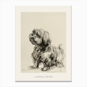 Lhasa Apso Dog Line Sketch 1 Poster Canvas Print