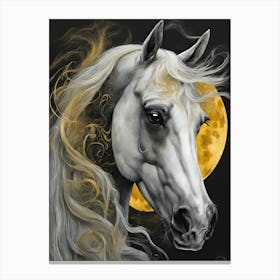 Moonlight Horse Canvas Print