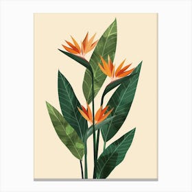 Bird Of Paradise Plant Minimalist Illustration 5 Canvas Print