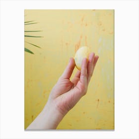 Easter Egg In Hand Canvas Print