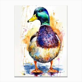 Mallard Duck Colourful Watercolour 1 Canvas Print