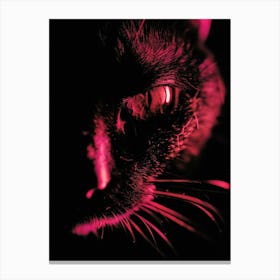 Cat In The Dark 1 Canvas Print