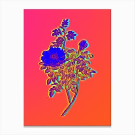 Neon Ventenat's Rose Botanical in Hot Pink and Electric Blue n.0555 Canvas Print