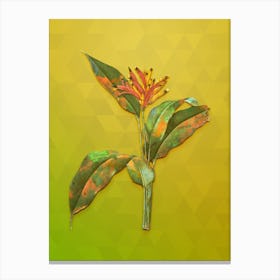 Vintage Lobster Claws Botanical Art on Empire Yellow Canvas Print