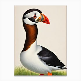 Puffin James Audubon Vintage Style Bird Canvas Print