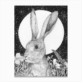 The Hare And The Moon Canvas Print