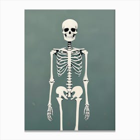 Skeleton Canvas Print