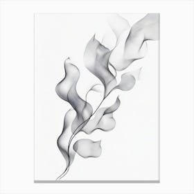 Smoke In The Wind Canvas Print