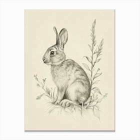Cinnamon Rabbit Drawing 1 Canvas Print