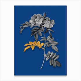 Vintage Shining Rosa Lucida Black and White Gold Leaf Floral Art on Midnight Blue n.1109 Canvas Print