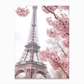 Cherry Blossoms In Paris Canvas Print