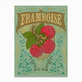 Framboise Retro Poster Canvas Print