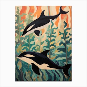 Orca Whales Swimming With Seaweed Canvas Print