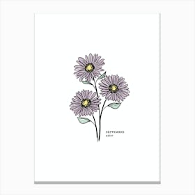 Sept Aster Birth Flower Canvas Print